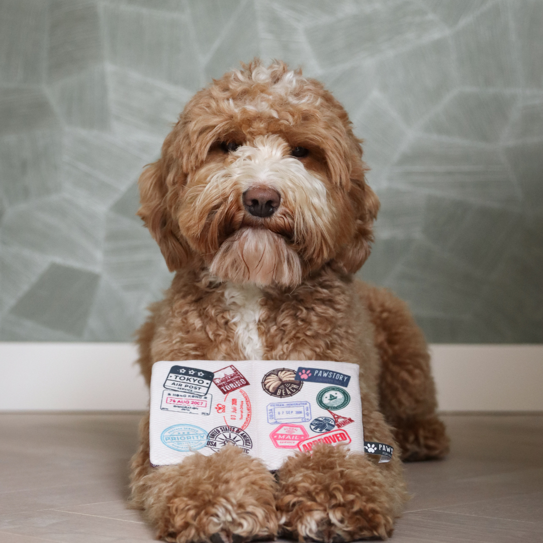 Plüsch-"Pawsport Reisepass", knistert | Hundespielzeug