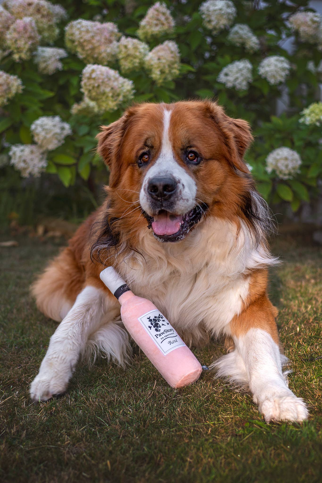 Plüsch-"Rosé Weinflasche en Provence“ mit Quietscher | Hundespielzeug