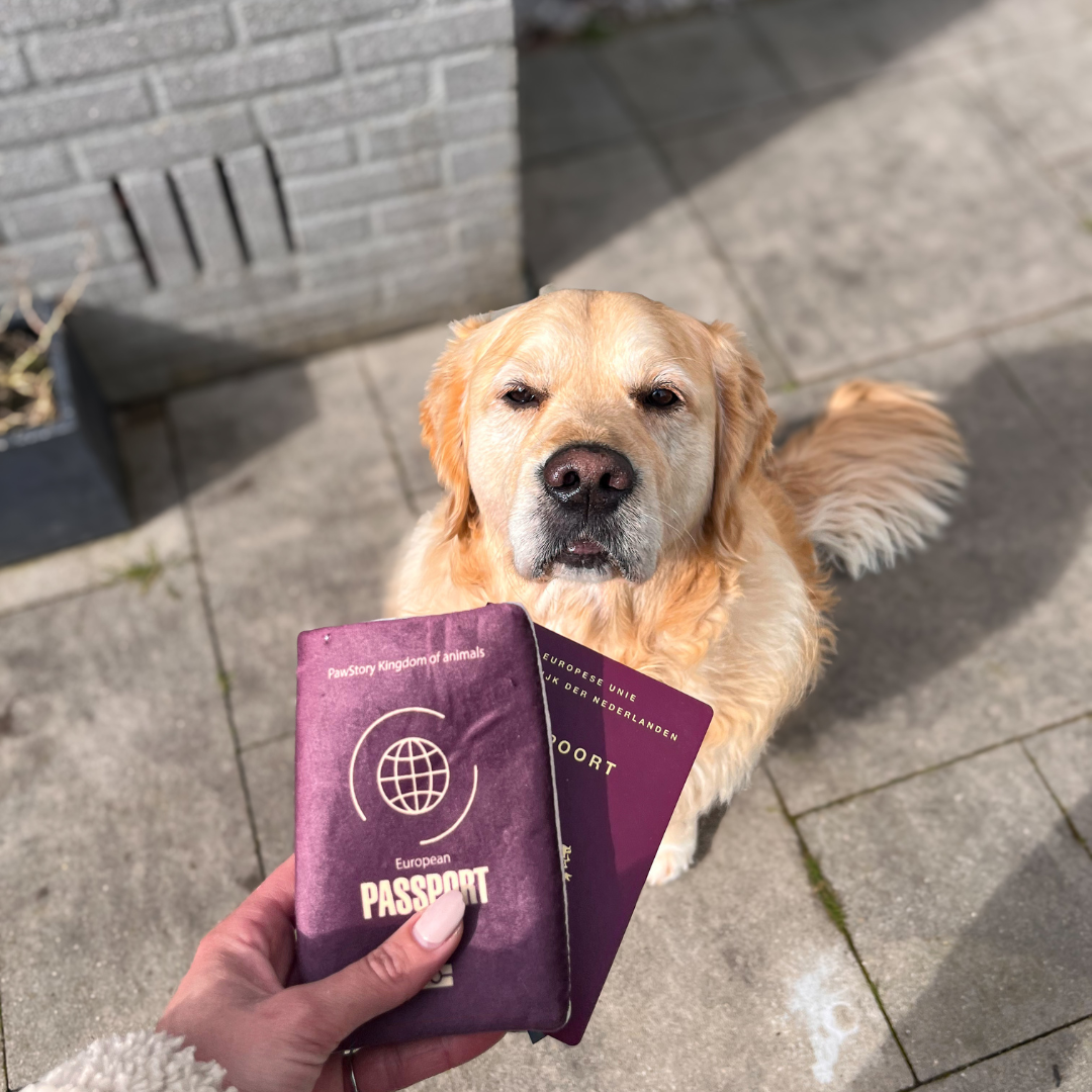 Plüsch-"Pawsport Reisepass", knistert | Hundespielzeug