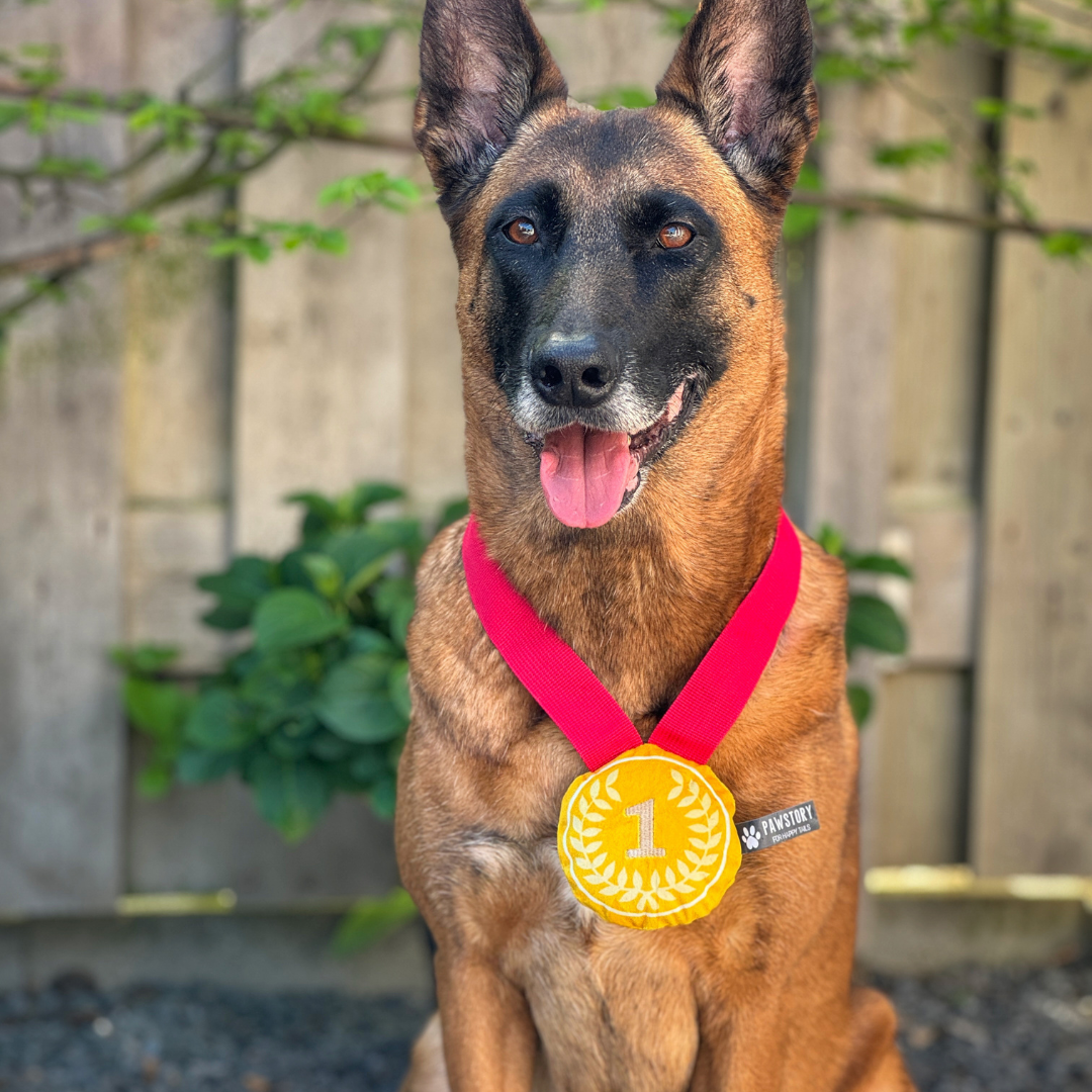 Plüsch-Goldmedaille mit Quietscher für Deinen Champion | Hundespielzeug