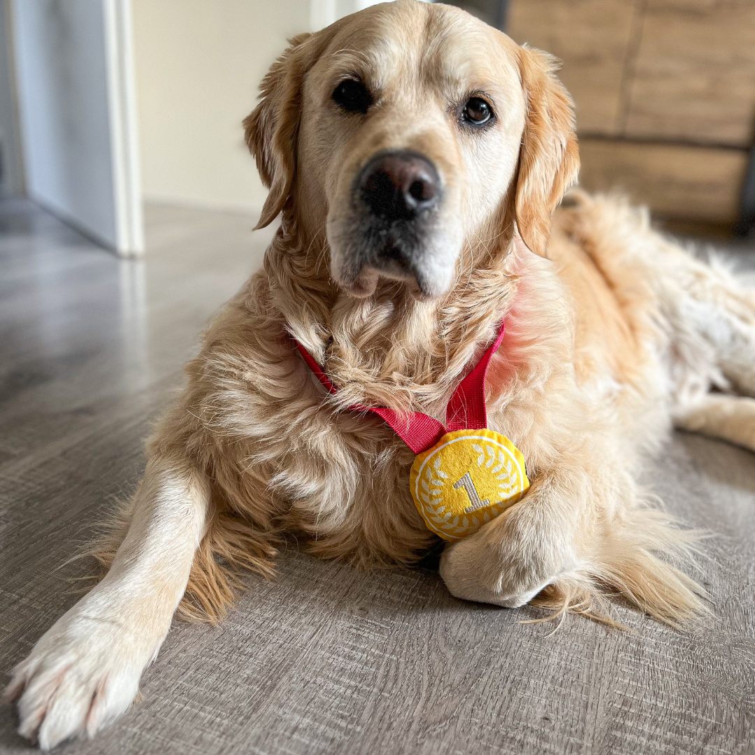 Plüsch-Goldmedaille mit Quietscher für Deinen Champion | Hundespielzeug