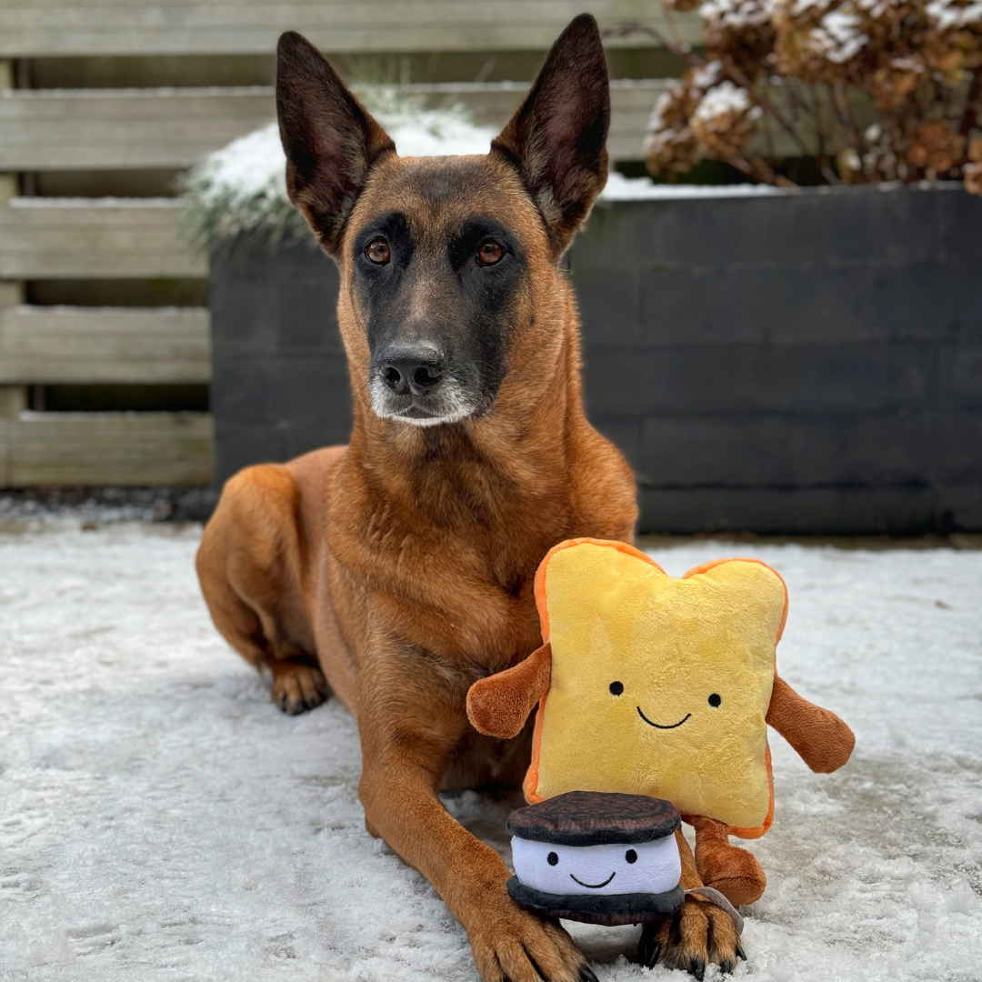 Plüsch-Toast mit Quietscher | Hundespielzeug