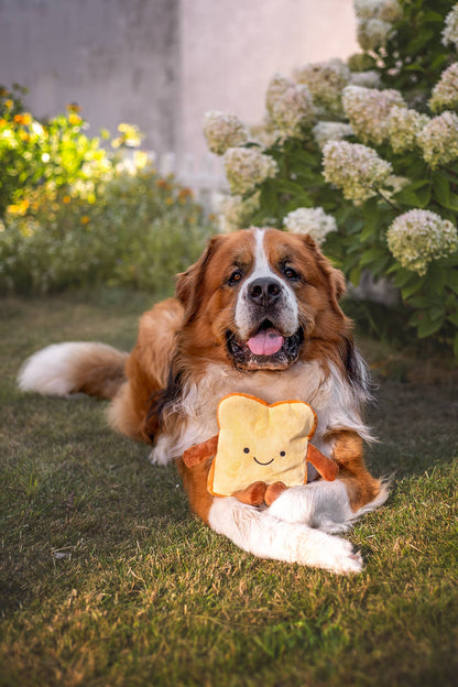 Plüsch-Toast mit Quietscher | Hundespielzeug